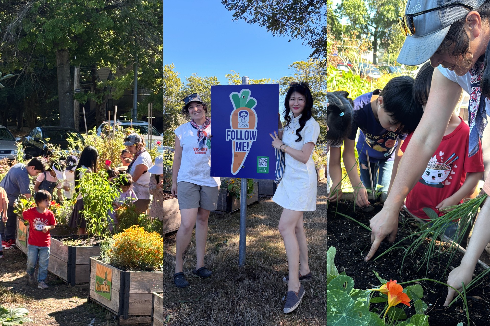 Into the Community Garden | Lighthouse Youth Experience Growing and Giving Back Into the Community Garden | Lighthouse Youth Experience Growing and Giving Back